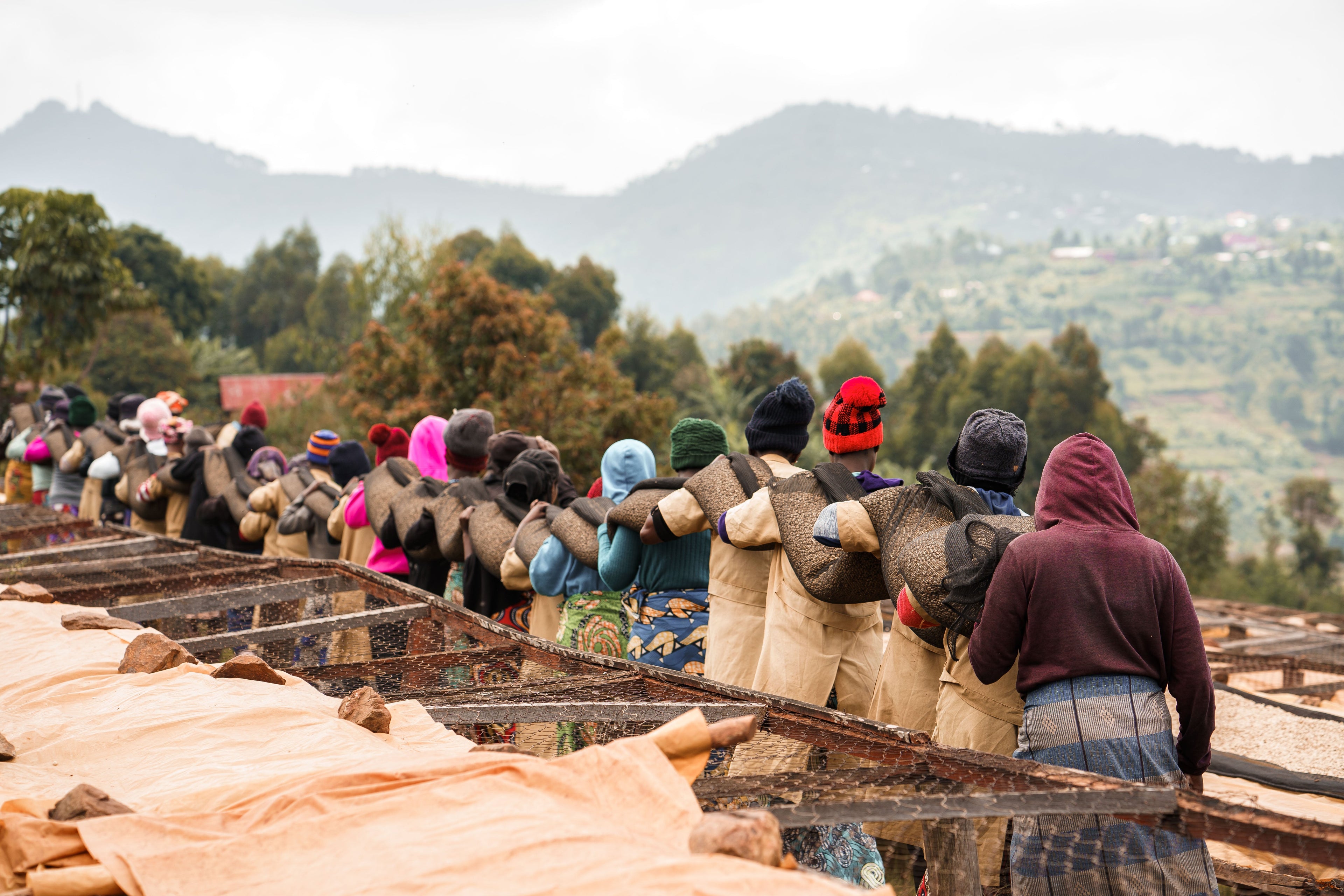 Rwanda Ruli washed single origin coffee from Dukunde Kawa Musasa